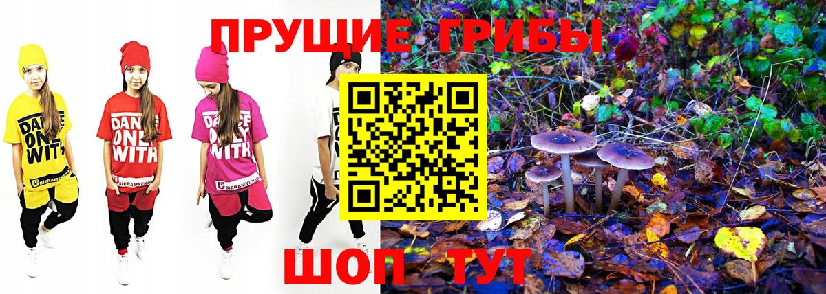 Дербент  продажа наркотиков  Вход с VPN  Галлюциногенные грибы Psilocybe 
